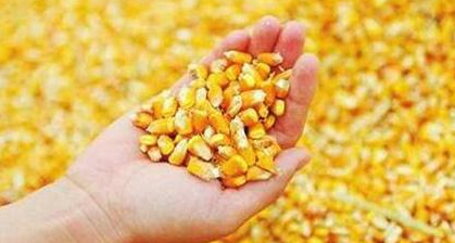 農(nóng)產(chǎn)品價格下行？你該換個思路了