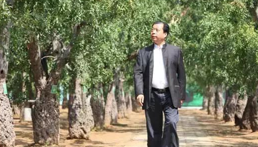 案例|一年扭虧為盈！引領行業多年，遭遇瓶頸后，“好想你”用3招突圍