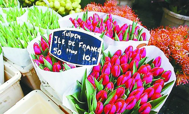 為什么中國總搞不好農產品拍賣，誰將成為農批領域的“阿里巴巴”？