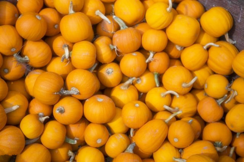 美日農產品流通模式比較及對我國的啟示