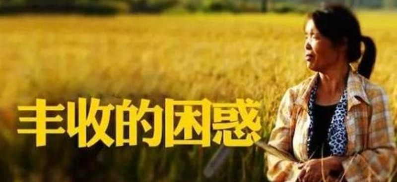 三農人觀察：為什么總是出現“谷賤傷農”的現象