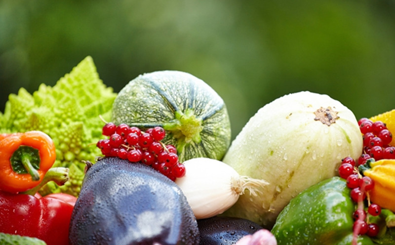 創業小黑板|農產品“三品一標”知多少？（吐血整理）