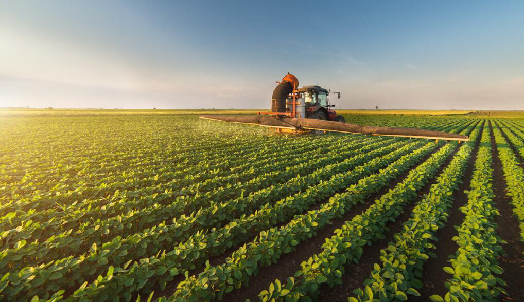 從桐廬模式談起，看中國農業產業的嬗變之路（以安廚為例）