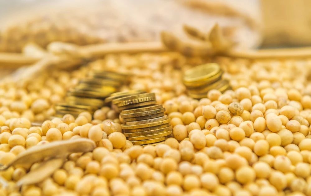 【聚焦大豆產業】中國大豆加工行業發展趨勢分析與投資前景研究報告 （2022-2029年）