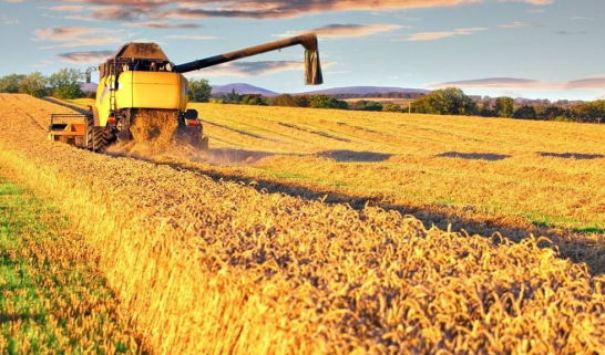 三農(nóng)日?qǐng)?bào)|我國(guó)預(yù)制菜行業(yè)各類標(biāo)準(zhǔn)達(dá)190個(gè)；仲景食品：線上渠道成效顯著