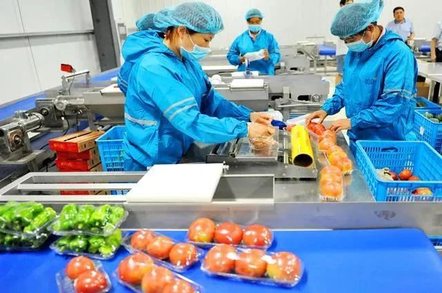 產(chǎn)業(yè)透視！農(nóng)產(chǎn)品加工模式：糧去殼、菜去幫、果去皮等的深度解讀（附8大模式）