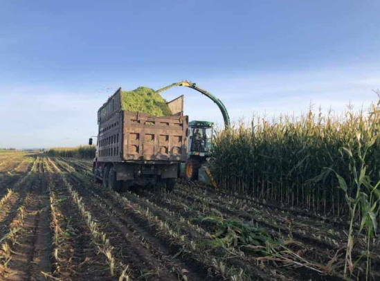 三農(nóng)日?qǐng)?bào)|政策：加大糧改飼扶持力度；業(yè)內(nèi)：我國(guó)預(yù)制菜起步很晚但發(fā)展快