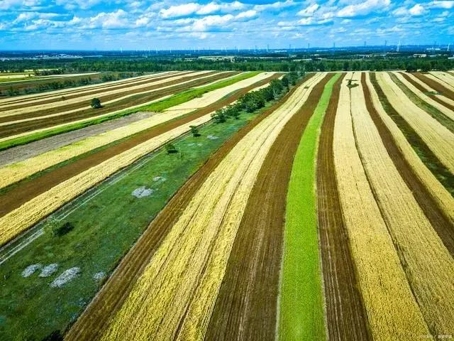 年終盤點！“三農”再成熱點，中國農業未來10大走勢