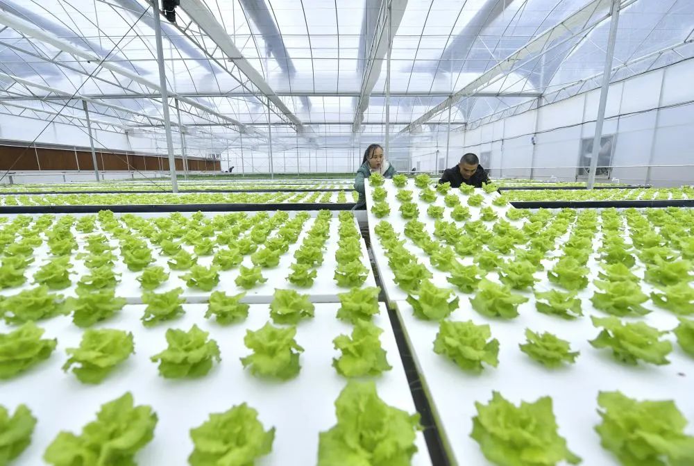 【預制菜】中外預制菜將會如何發展 | 附報告解讀