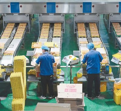 【農產品加工業】做大做強農產品加工業！人民日報發聲