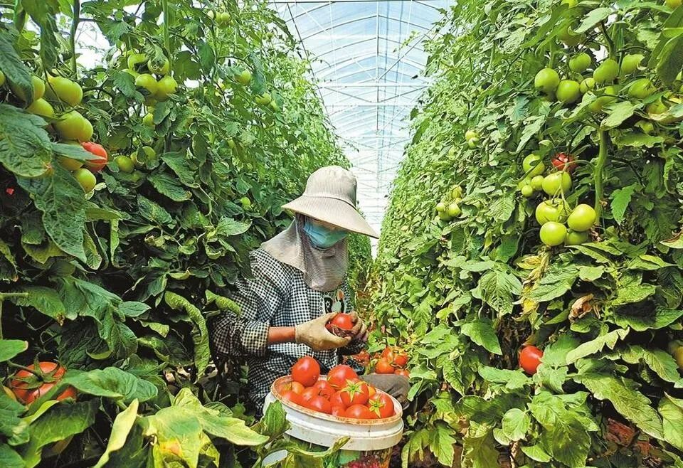 【土特產(chǎn)項目】土特產(chǎn)+文化創(chuàng)意，立馬擁有國際范兒