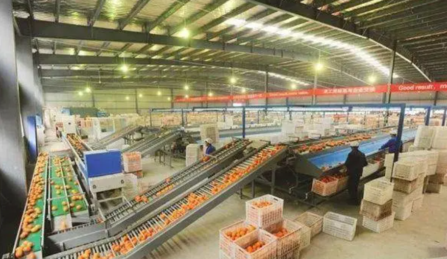 重大機遇！推進我國農產品加工業發展