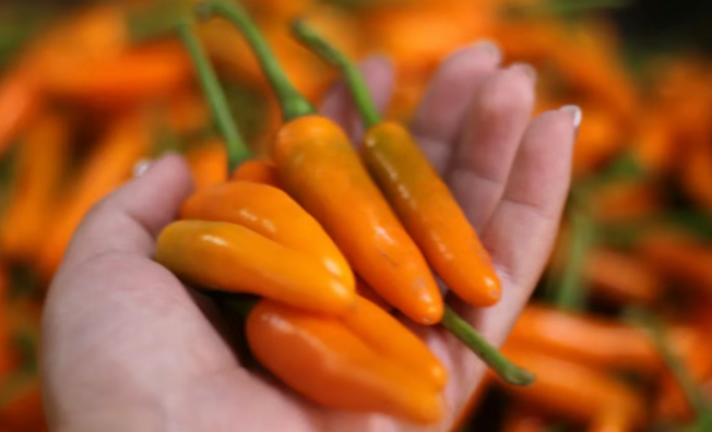 【鄉(xiāng)村產(chǎn)業(yè)】“土特產(chǎn)”如何做成大產(chǎn)業(yè)？8大方向教你做成年入百萬！