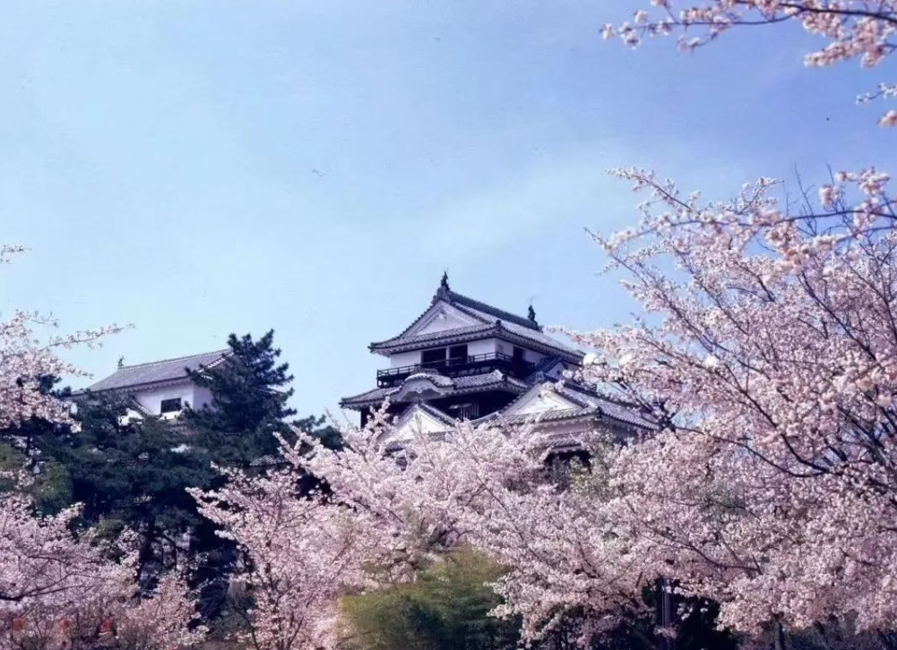 【世界農業案例】日本愛媛縣如何用農產品打造目的地品牌 ？