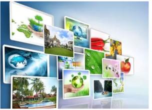 農(nóng)產(chǎn)品電商刮的風(fēng)，要往哪個(gè)方向走？