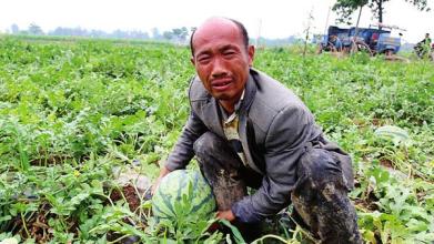 滯銷的農(nóng)產(chǎn)品到底該怎么賣？