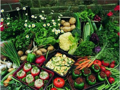 未來3年，河北將加大環首都農產品流通圈的投入