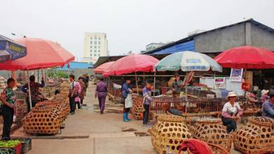 農產品流通新趨勢，批發市場將何去何從?