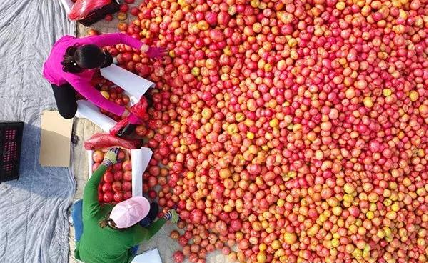 6.png 搞農業不需要十八般武藝,但不懂這8點可能會死翹翹