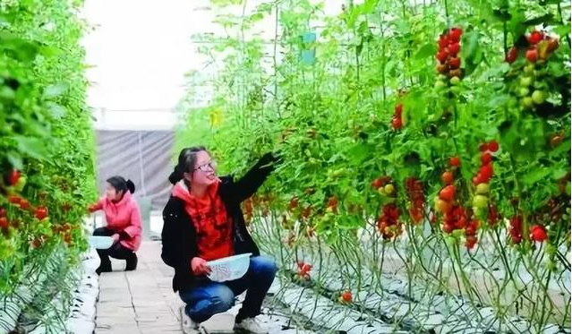 7.png 搞農業不需要十八般武藝,但不懂這8點可能會死翹翹