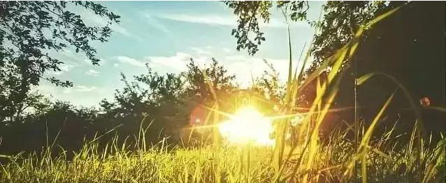 1.png 搞農業不需要十八般武藝,但不懂這8點可能會死翹翹