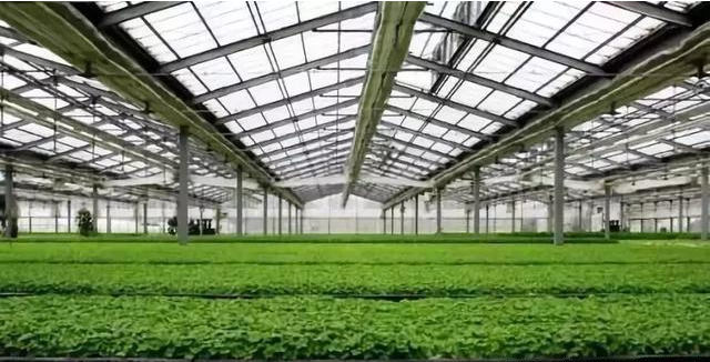 9.png 搞農業不需要十八般武藝,但不懂這8點可能會死翹翹