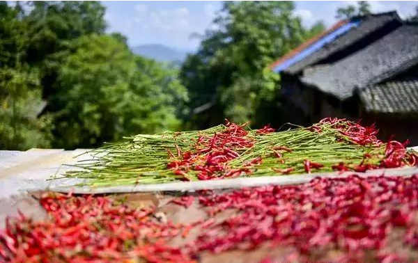 4.png 搞農業不需要十八般武藝,但不懂這8點可能會死翹翹