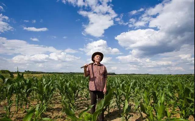 61.jpg 農業失敗案例|農業創業已入死循環:不繼續投入,就得倒閉或虧錢