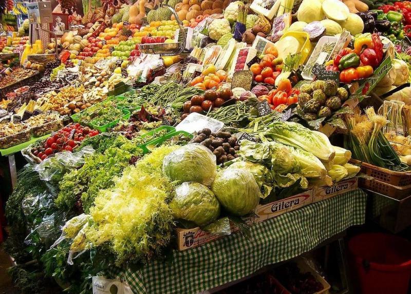 62.jpg 農業失敗案例|農業創業已入死循環:不繼續投入,就得倒閉或虧錢