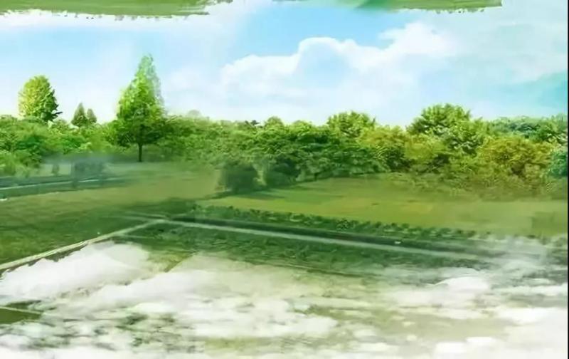 農業產業周報｜（2018.12.17—12.23）