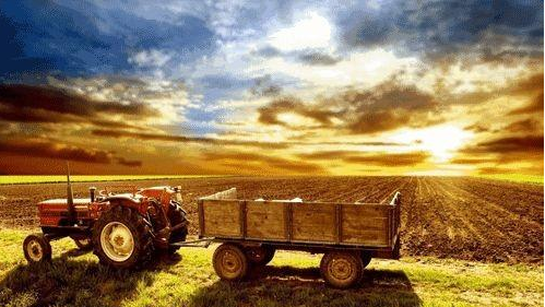 12.png 2019年農業六大政策!看過的人都收藏啦!