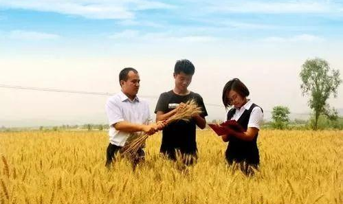 13.png 2019年農業六大政策!看過的人都收藏啦!