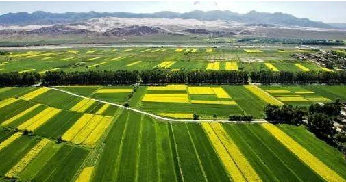 11.png 2019年農業六大政策!看過的人都收藏啦!