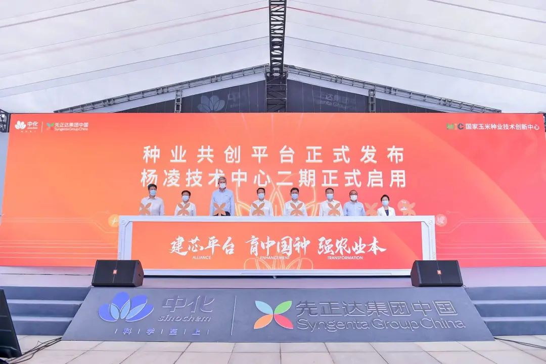 重磅：種業(yè)共創(chuàng)平臺(tái)正式發(fā)布，創(chuàng)新模式助力種業(yè)翻身