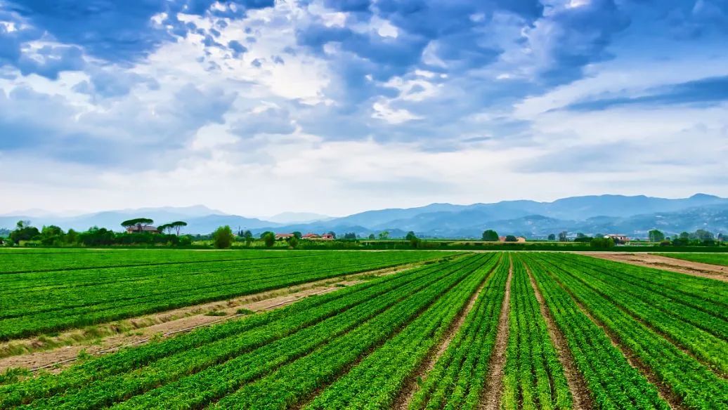 【名單】最新中國上市公司500強出爐（附全榜單）