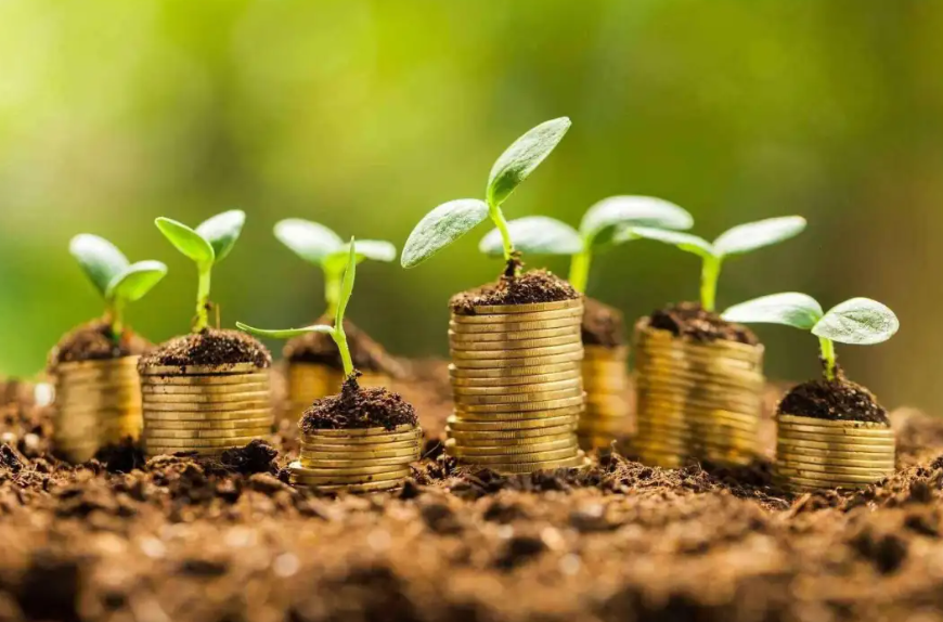 專項債券支持和美鄉村建設對策分析