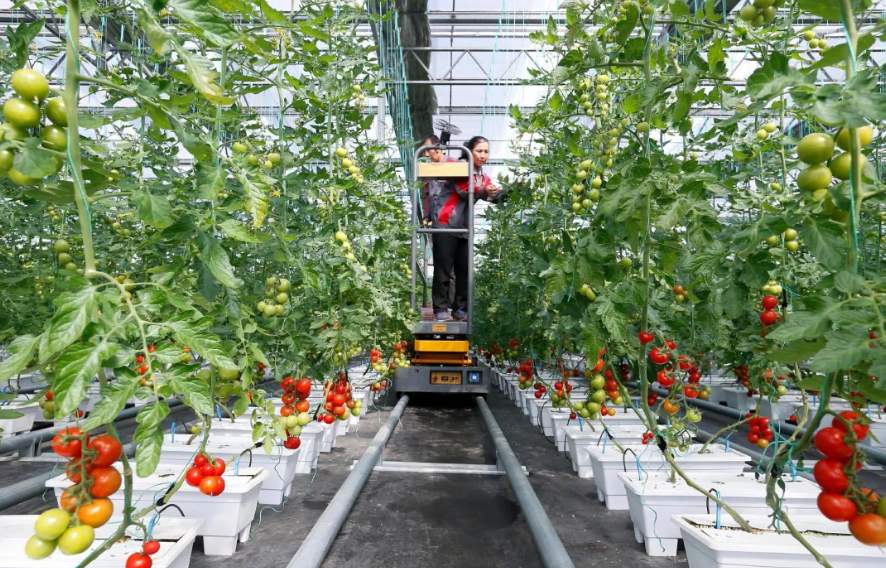 中央財政支持農業投資重點領域指引，涉及7大領域