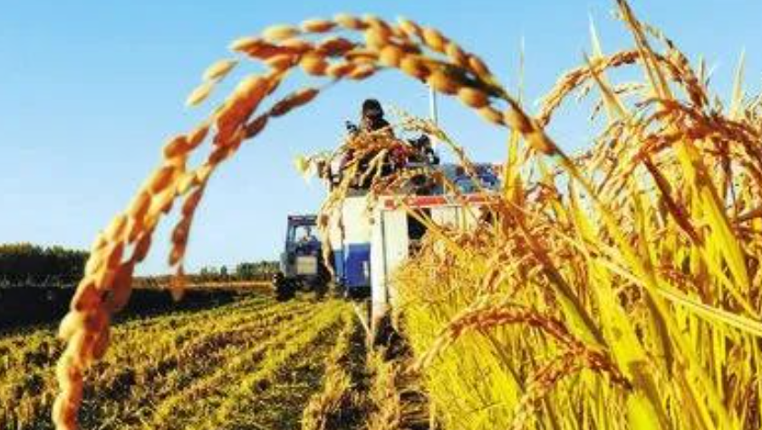 李昌金：工商資本下鄉的機遇與挑戰