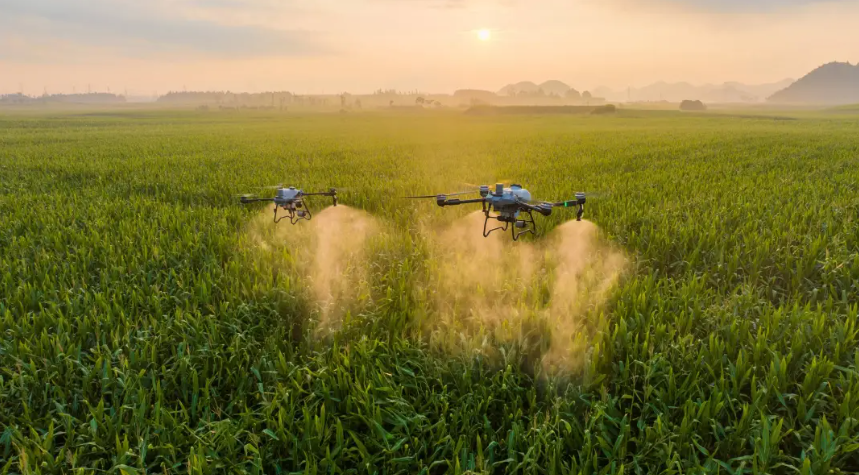 縣域經濟新增長點在哪？這篇文章講透了