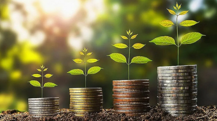 【農業投資】2025年農業領域項目謀劃方向及資金路徑分析