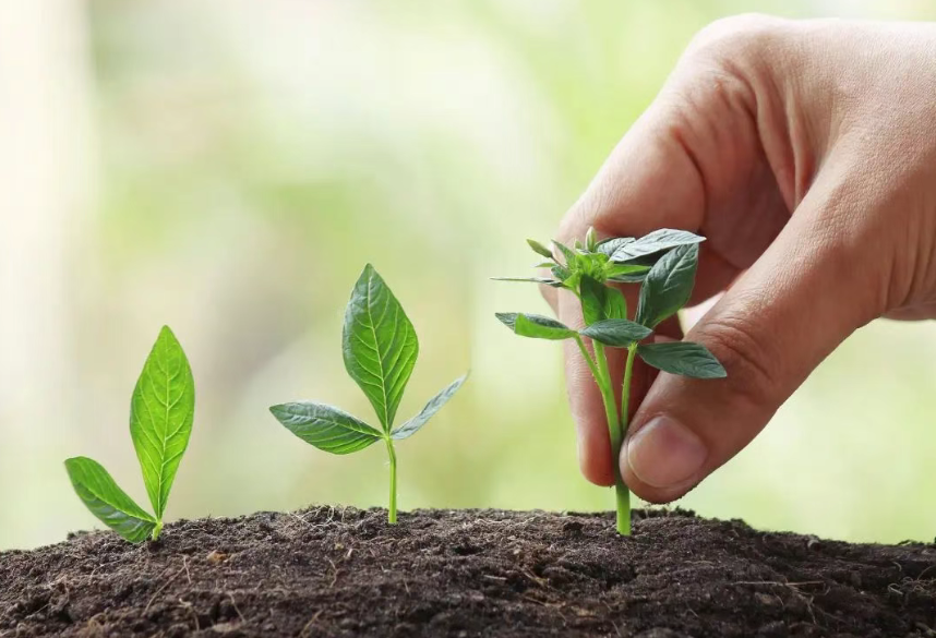 中央預算內資金專項補助三農領域項目匯總（截止2025年5月）