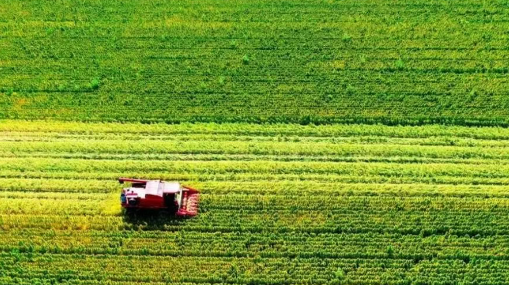 農(nóng)業(yè)投資八大關(guān)鍵要素！建議收藏~