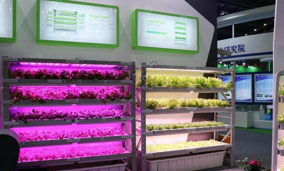 “互聯(lián)網(wǎng)+農(nóng)業(yè)”催生農(nóng)業(yè)品牌化，強(qiáng)勢(shì)農(nóng)業(yè)品牌該如何建立？