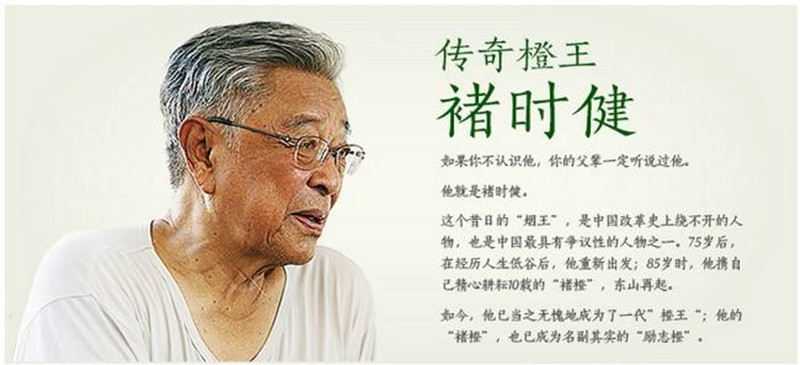 為何“褚橙”之后，再無“褚橙”出現（值得深思）