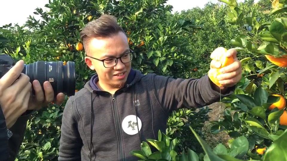 獨家分享|農物集創始人劉登峰：農產品品牌如何塑造