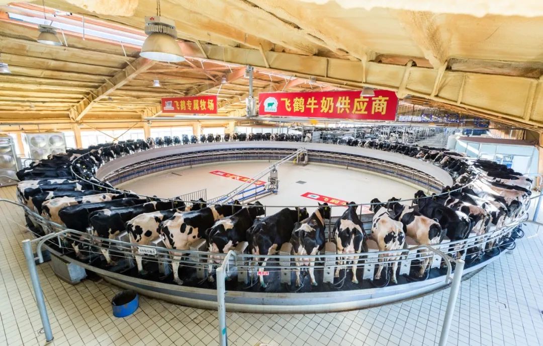 【企業研究】解密“飛鶴現象”，奶粉龍頭這三點，至關重要