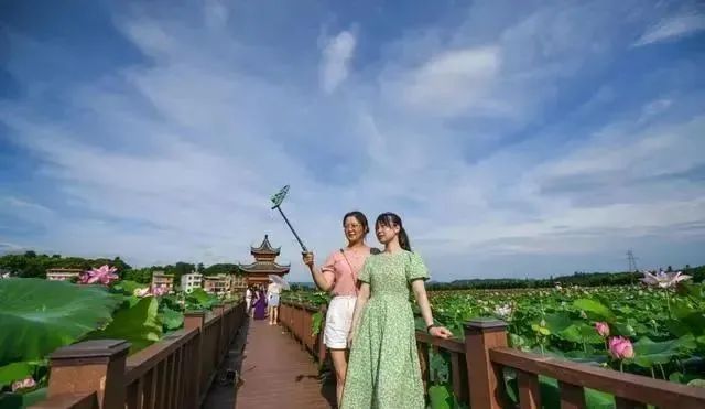 農(nóng)業(yè)產(chǎn)業(yè)周報(bào)|百度、天邦股份、雪榕生物、海天味業(yè)、富邦股份最新動(dòng)態(tài)