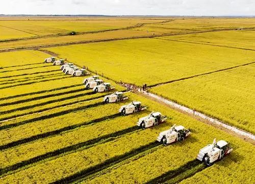 【案例剖析】如何打造農業全產業鏈？看這3個典型案例