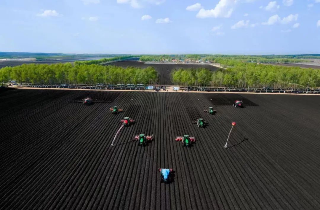 發力品牌農業！「北緯47度」加碼模式創新，助力糧食消費升級