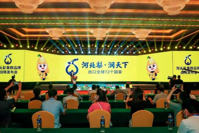 福來操刀！助推產業發展，“河北梨·潤天下”河北梨集群品牌式發布